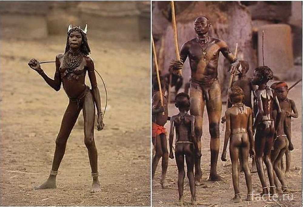 Секс В Африканских Племенах Фото