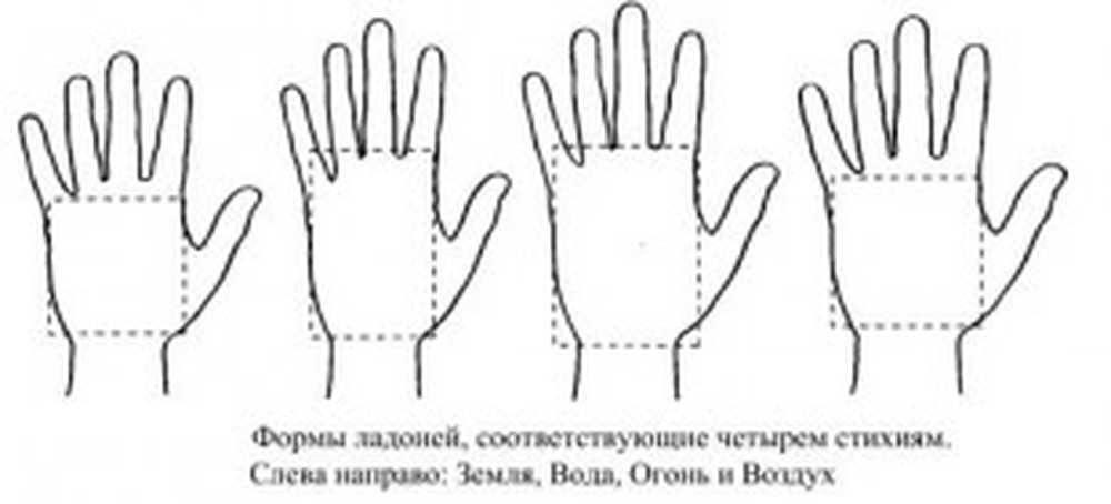 Виды рук. Типы ладоней хиромантия. Хиромантия форма ладони. Типы рук по стихиям хиромантия. Квадратная форма ладони.
