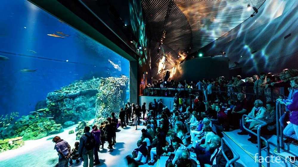 National aquarium. Океанариум «голубая Планета» в Дании,. Национальный аквариум Дании "голубая Планета". Копенгаген.. Национальный аквариум в Балтиморе. Аквариум «голубая Планета».