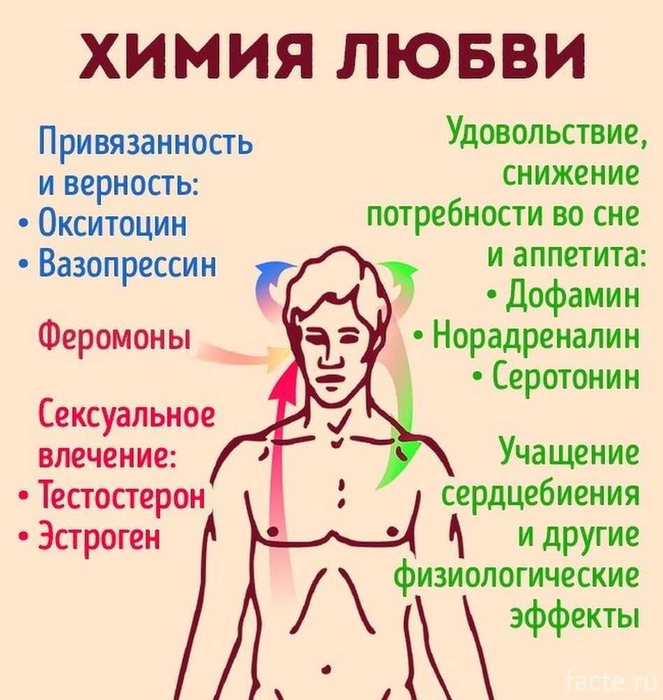 Что может вызывать любовь. Гормон влюбленности. Гормоны любви и влюбленности. Химия любви. Химия любви гормоны.